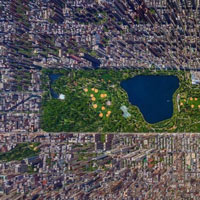 aerial view of central park
