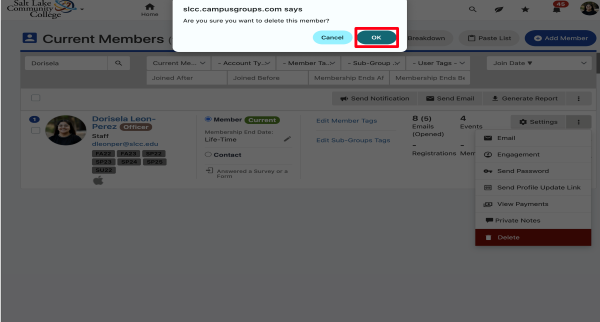 Confirm deletion dialog