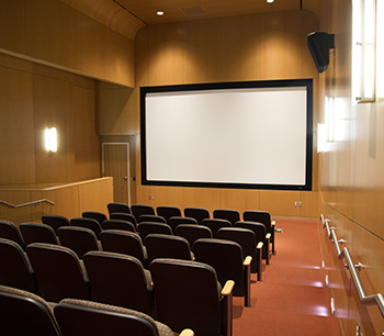 cam-screening.jpg