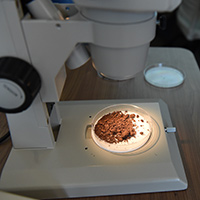 Microscope for Environmental Science