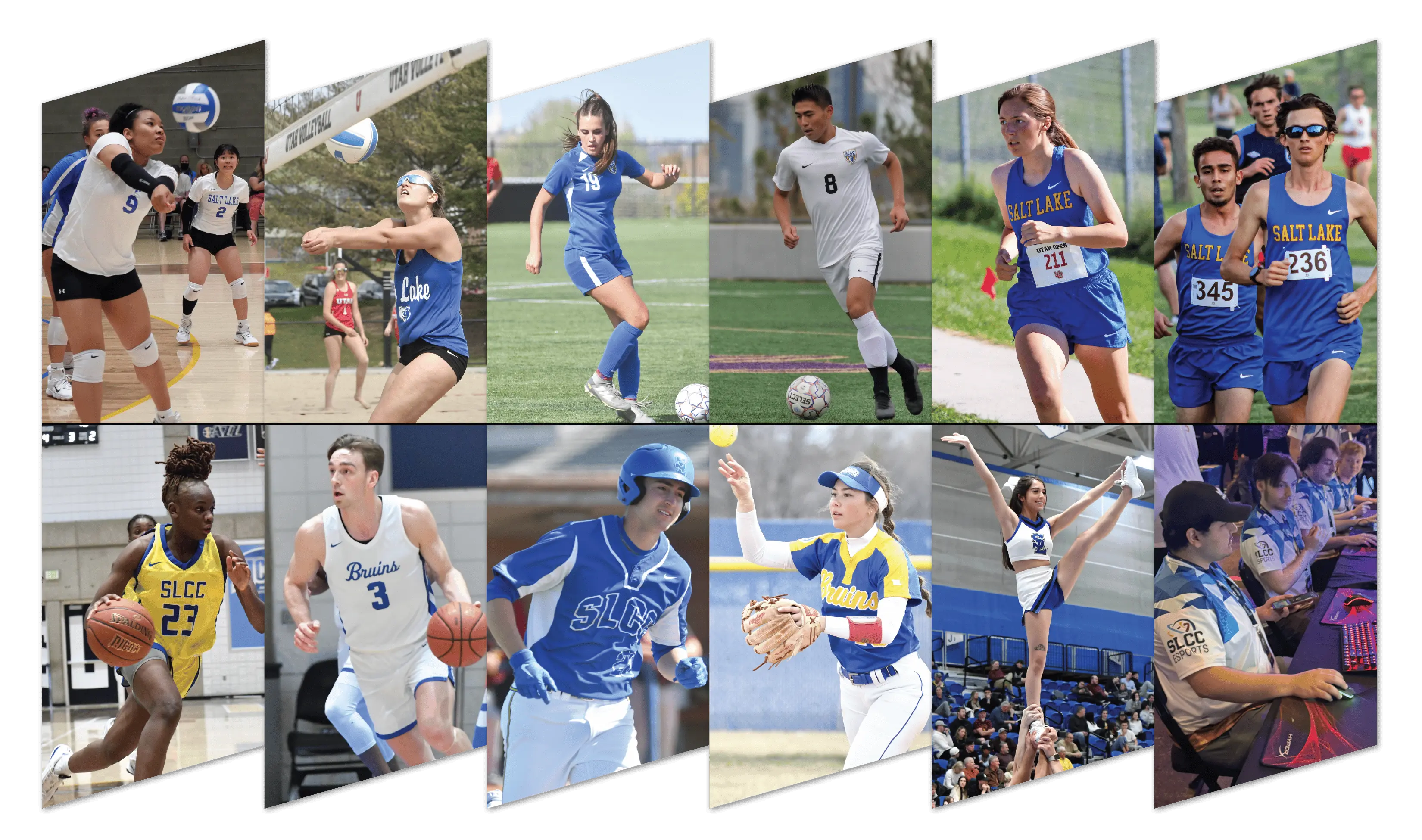 Image of all SLCC Athletics teams.