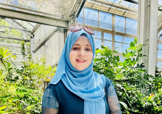Hajia Malik