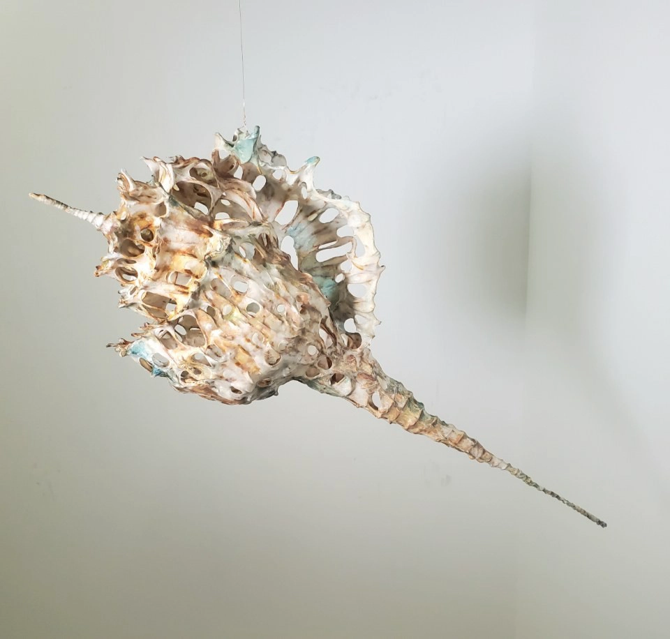 Photograph. A sculpture that resembles a seashell in off-white color tones stained with washed-out browns and light blue-green tints on the outer edges. The sculpture is suspended by a single golden wire. The background is white with subtle shadow gradients.