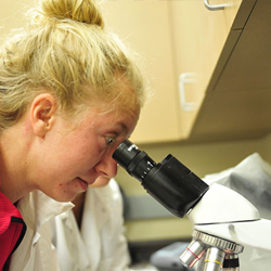 Clinical Lab Assistant