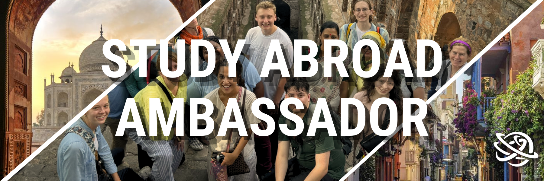 study-away-ambassador-banner