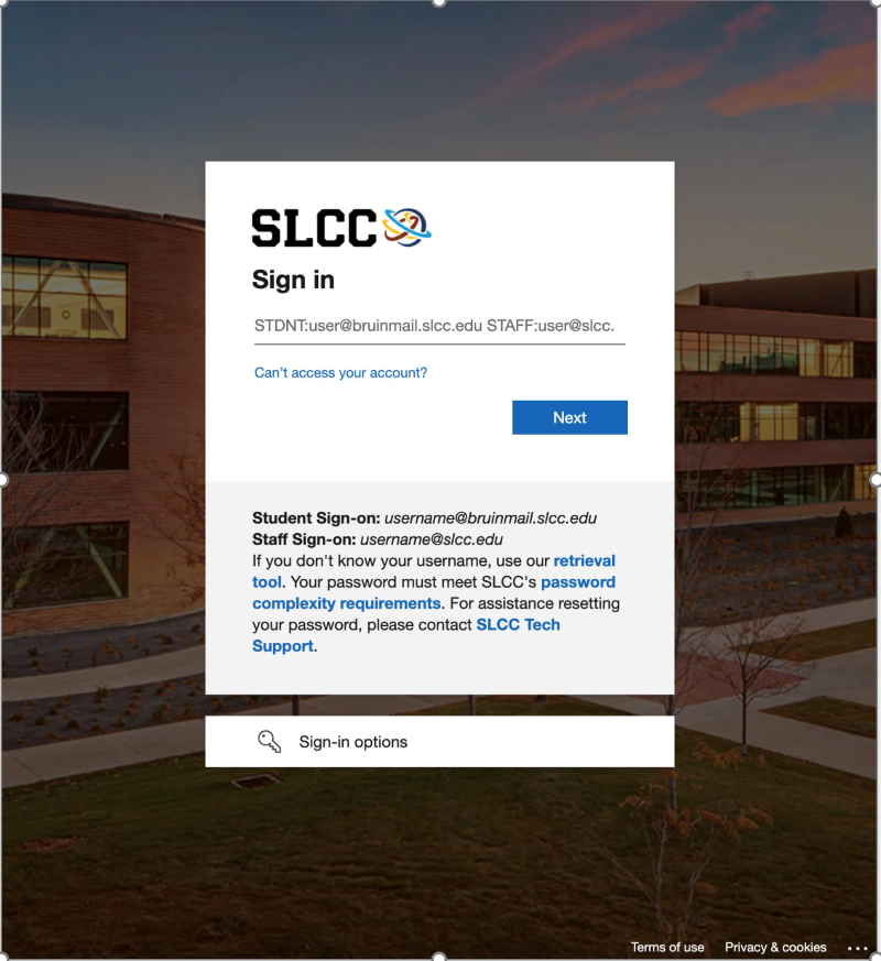 Enter your Bruinmail email into Microsoft login system